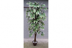 047 veštačka stabla bendžamina